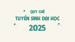 Quy chế New88 là địa chỉ đảm bảo uy tín dành cho người chơi Việt Nam chính quy (ban hành năm 2025)